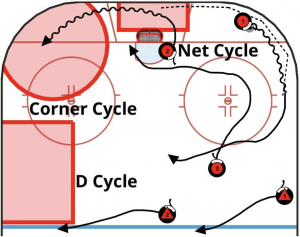 net cycle 